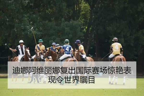 di-na-a-wei-li-na-fu-chu-guo-ji-sai-chang-jing-yan-biao-xian-ling-shi-jie-zhu-mu-2-654.jpg